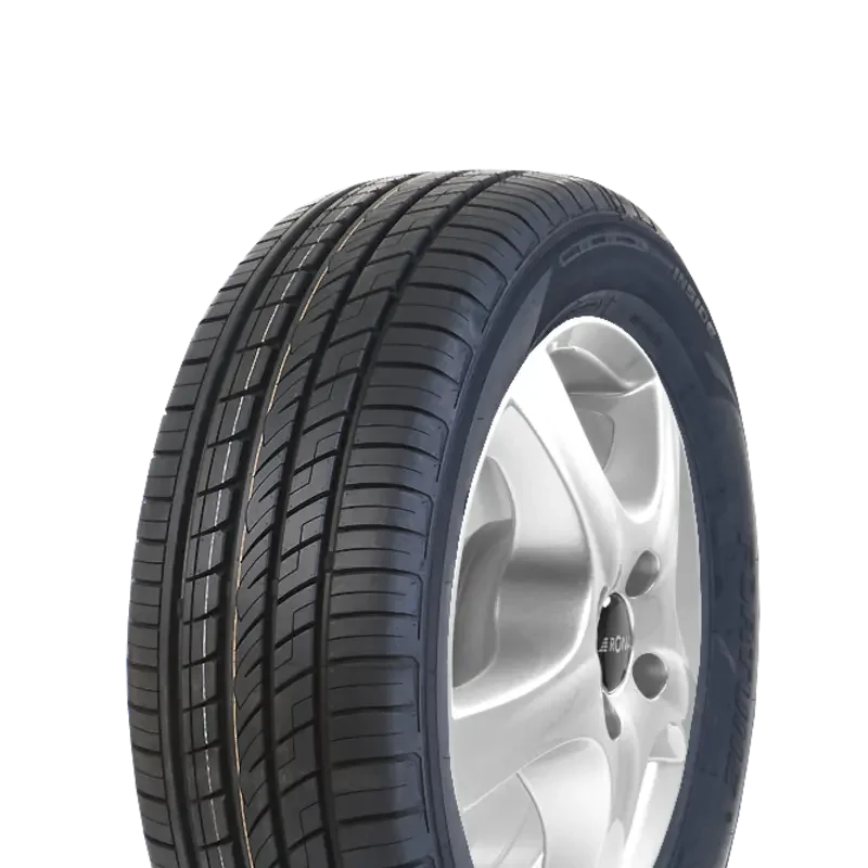 Fortune FSR303 225/55 R19 103 W