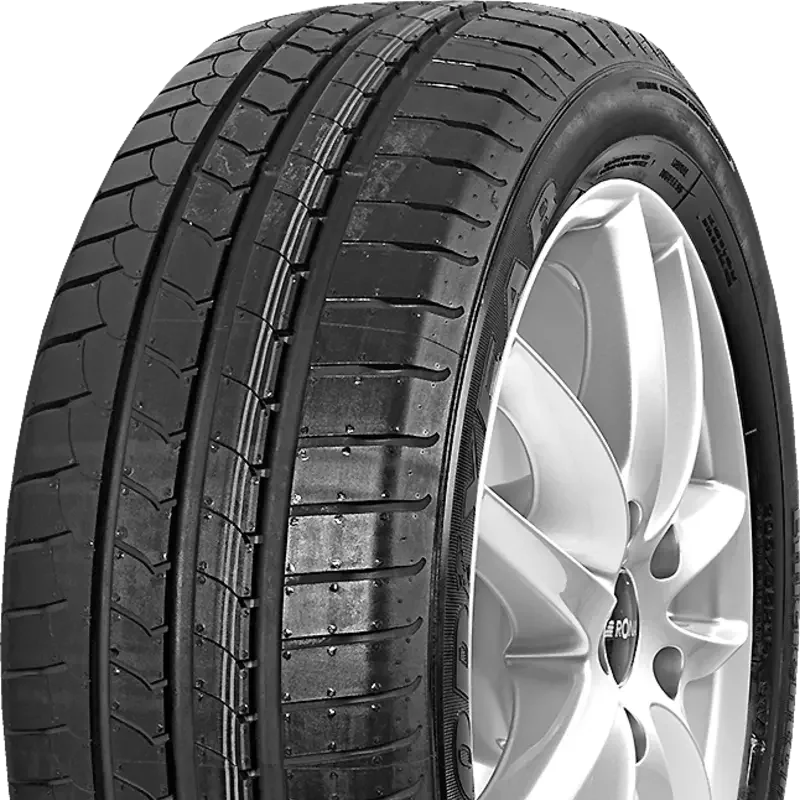 Goodyear EFFICIENTGRIP 245/45 R19 102 Y RUN ON FLAT ROF, XL, FP