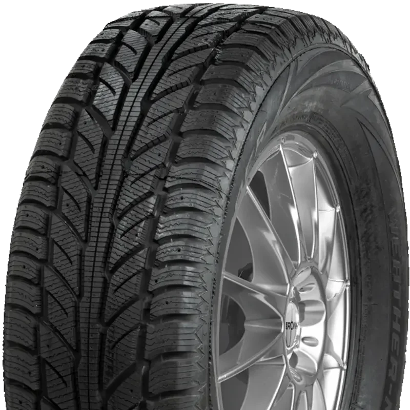 Cooper Weather-Master WSC 225/60 R17 99 T