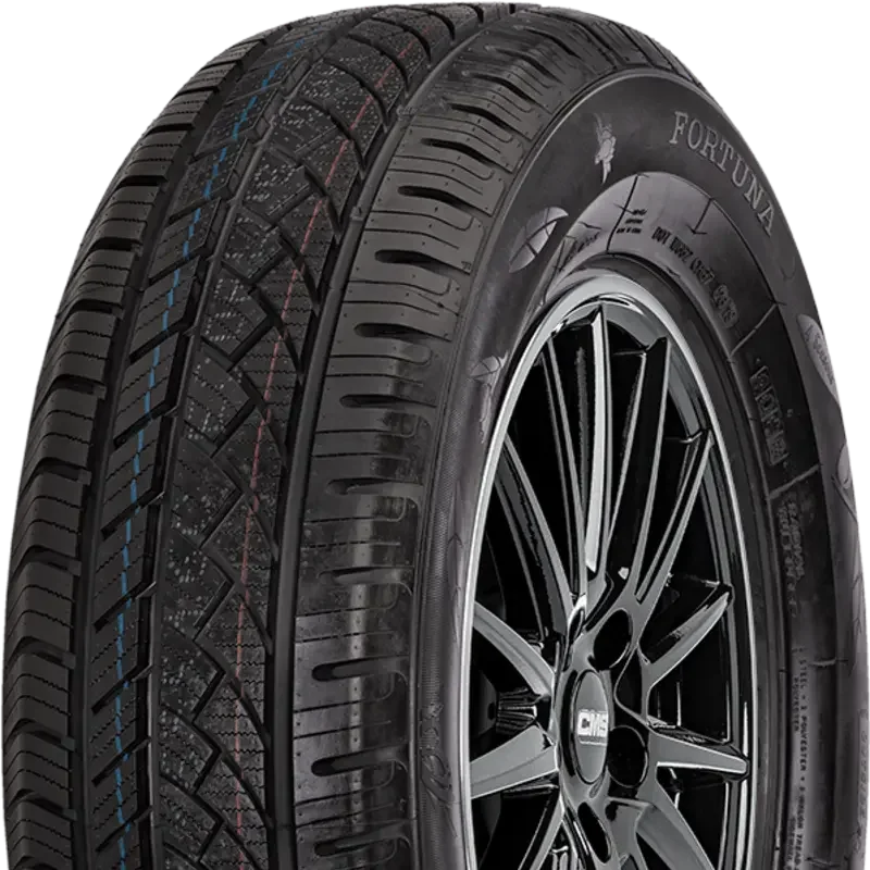 Fortuna Ecoplus Van 4S 225/65 R16 112 R C