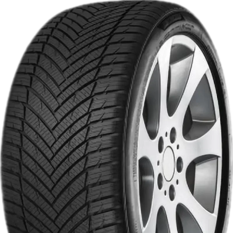 Minerva All Season Master 195/55 R15 85 V